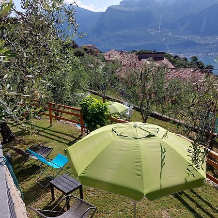 Ulivi Sul Garda Garden By Gardadomusmea Apartment Tremosine Luaran gambar