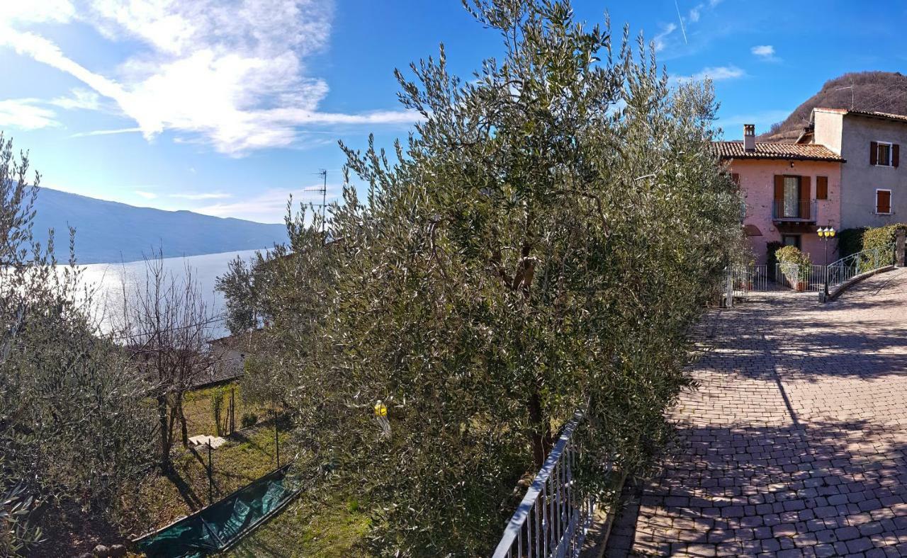 Ulivi Sul Garda Garden By Gardadomusmea Apartment Tremosine Luaran gambar